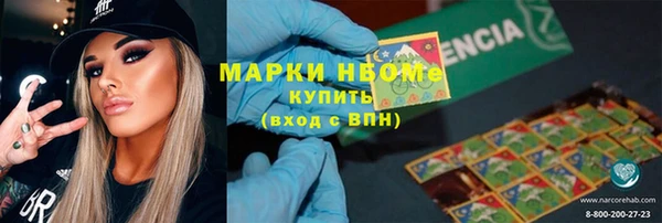 apvp Алексин
