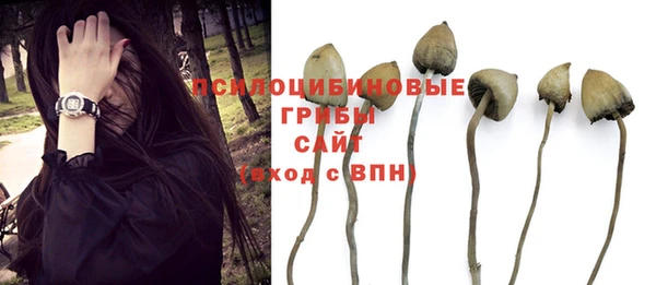 гидропоника Алзамай