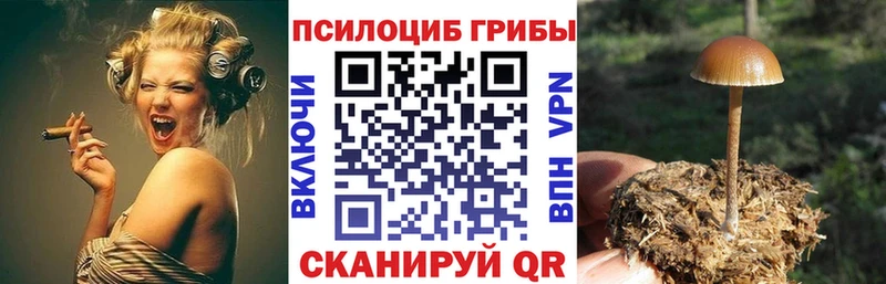 Псилоцибиновые грибы Magic Shrooms  Димитровград 